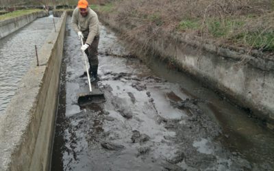 RECUPERACION PISCIFACTORIA