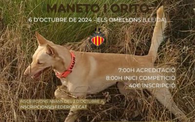 CAMPEONATO AUTONÓMICO CATALUÑA DE PODENCO ANDALUZ – 6 OCTUBRE 2024